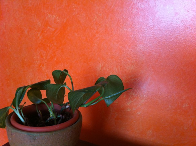 orange a